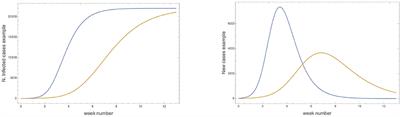 Renormalization Group Approach to Pandemics: The COVID-19 Case